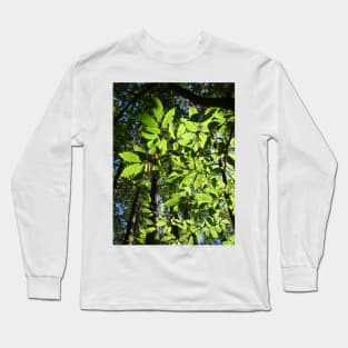 Sweet Chestnut Leaves Long Sleeve T-Shirt